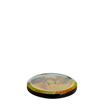 85420_01